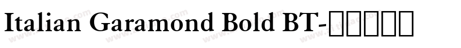 Italian Garamond Bold BT字体转换